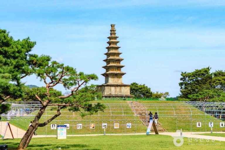 [예스키즈존] 중앙탑공원(충주)