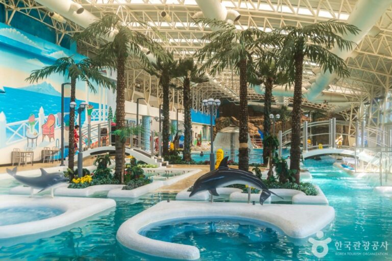 [예스키즈존] 소노벨 단양 오션플레이