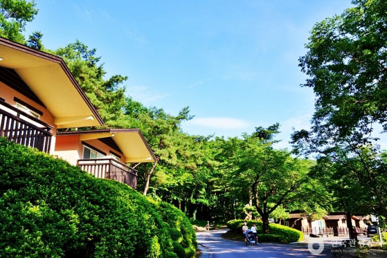[예스키즈존] 소선암자연휴양림