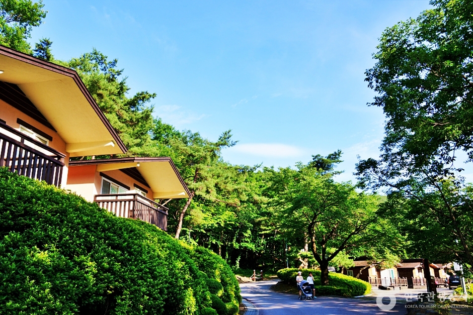 yeskids 1777151091 190 예스키즈존 탐험대 : 실패 없는 육아여행