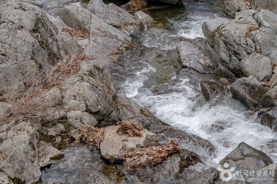 yeskids 1777151111 797 예스키즈존 탐험대 : 실패 없는 육아여행