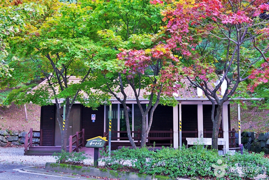 yeskids 1777151192 737 예스키즈존 탐험대 : 실패 없는 육아여행