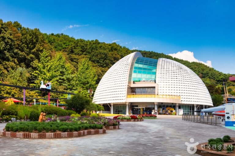 [예스키즈존] 청주랜드