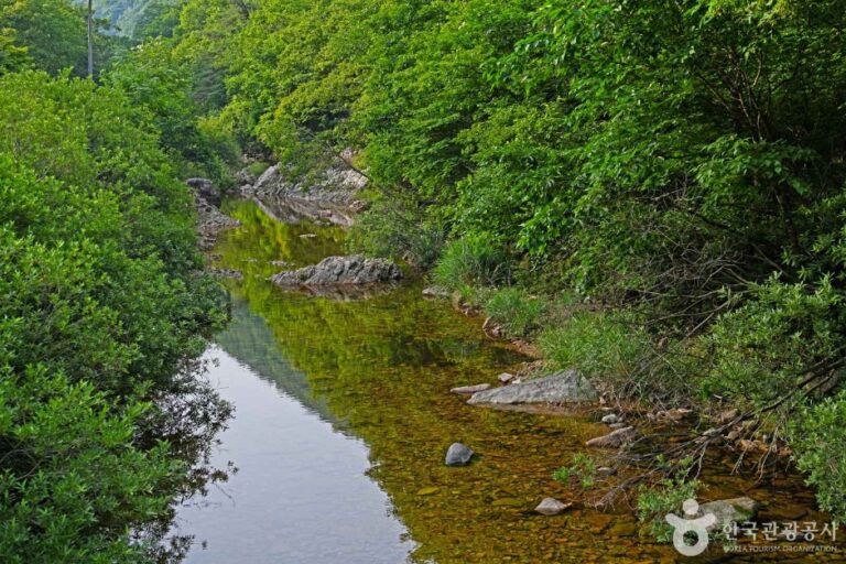 [예스키즈존] 만수계곡