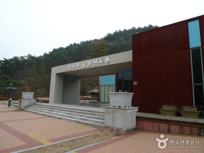 [예스키즈존] 솔향공원