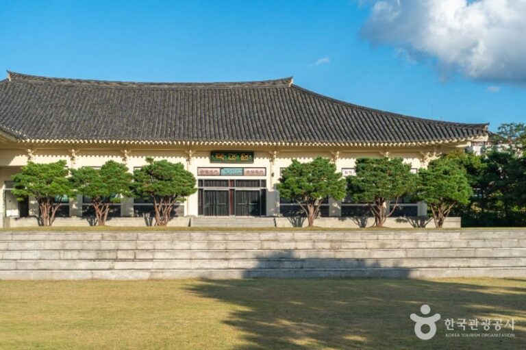 [예스키즈존] 충주시택견원