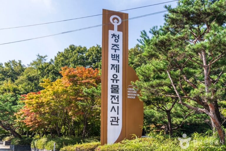 [예스키즈존] 청주백제유물전시관