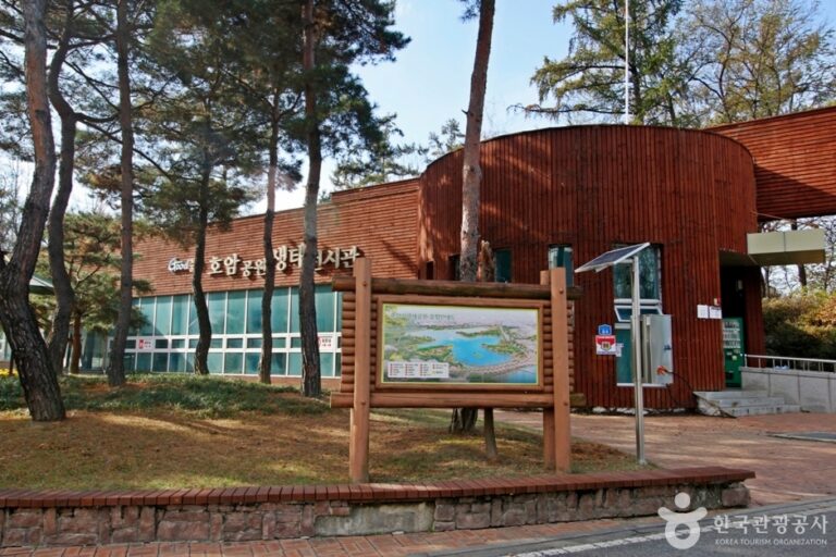 [예스키즈존] 호암공원생태전시관