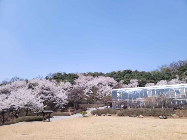 [예스키즈존] 철박물관