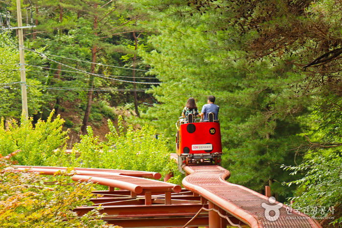 [예스키즈존] 솔향공원 스카이바이크