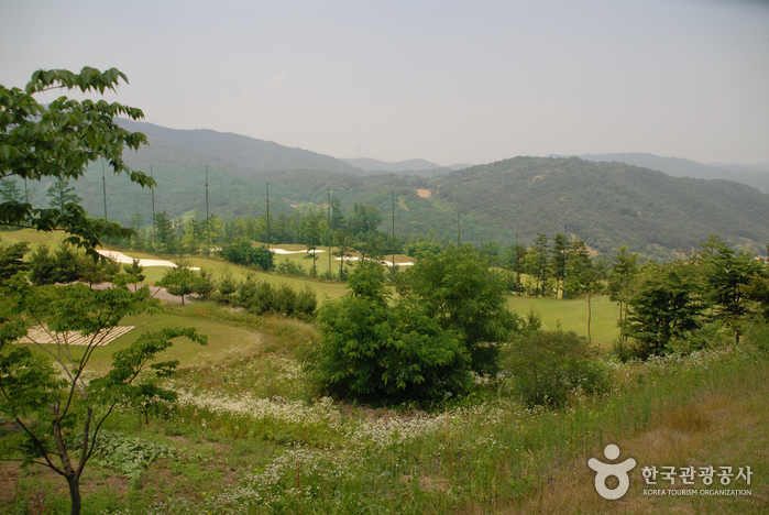 [예스키즈존] 그랜드컨트리클럽