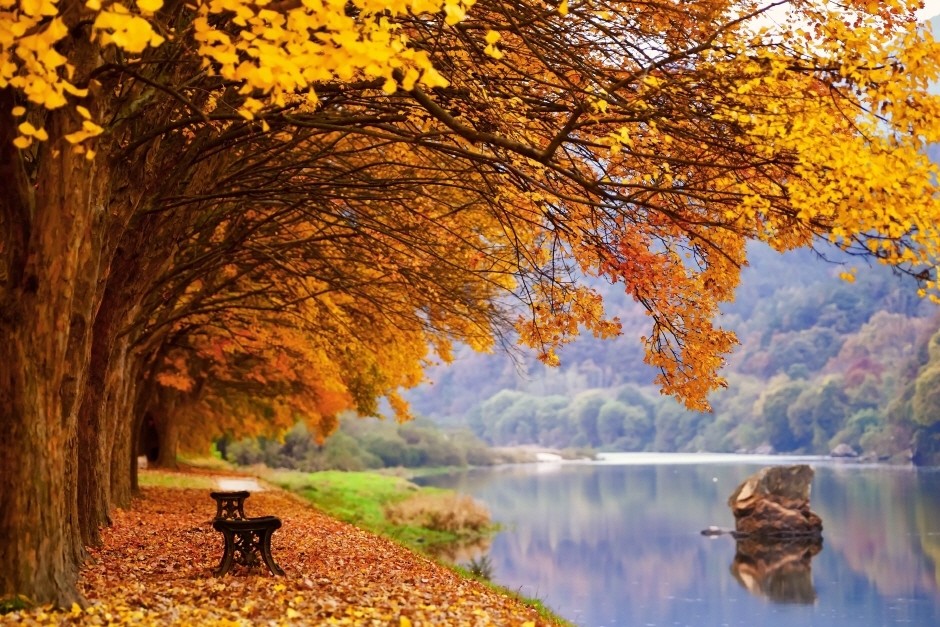 yeskids 1777235609 205 예스키즈존 탐험대 : 실패 없는 육아여행