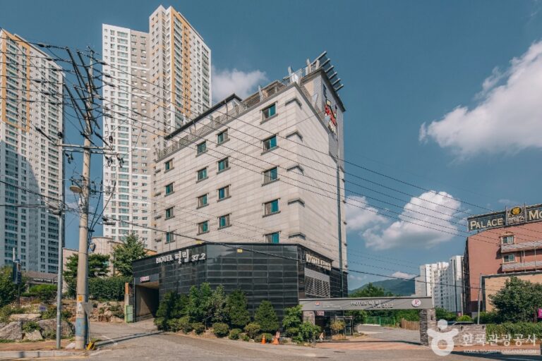 [예스키즈존] 호텔 필림37.2