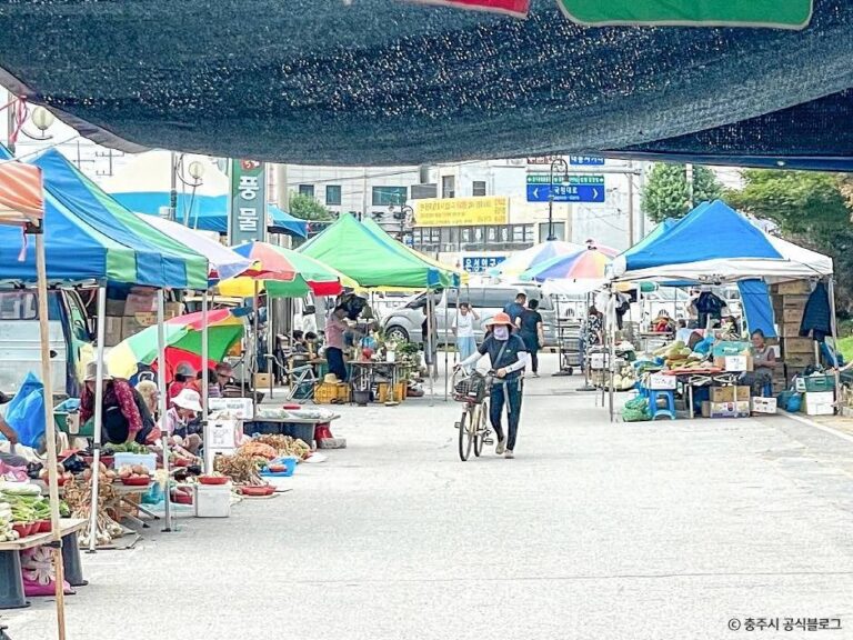 [예스키즈존] 충주 민속5일 풍물시장