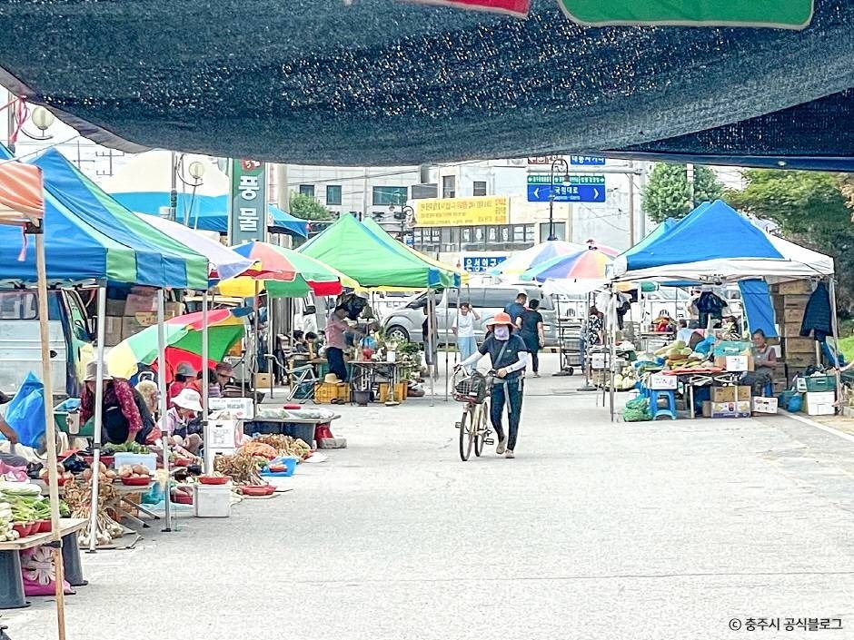 yeskids 1777237315 132 예스키즈존 탐험대 : 실패 없는 육아여행