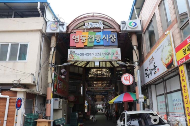 [예스키즈존] 영동장 (4, 9일)