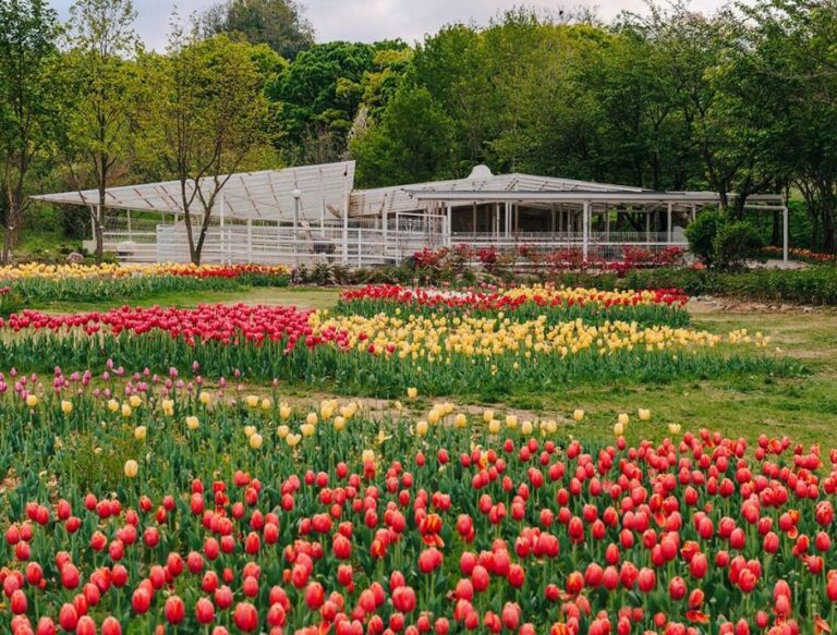 [예스키즈존] 피나클랜드 수목원