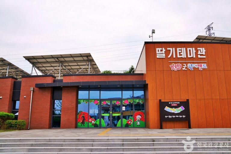 [예스키즈존] 딸기향농촌테마공원