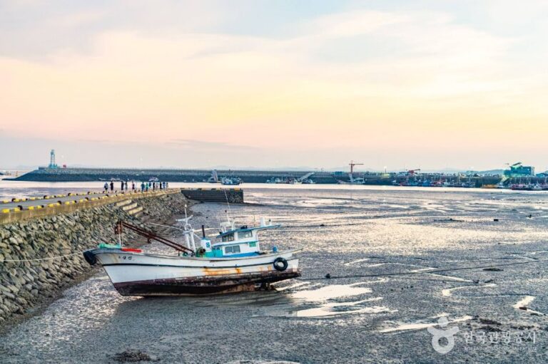 [예스키즈존] 남당항