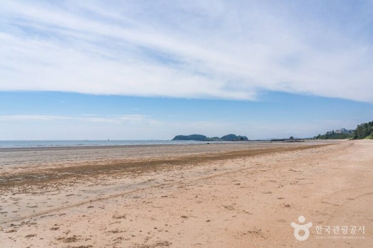 [예스키즈존] 독산해수욕장