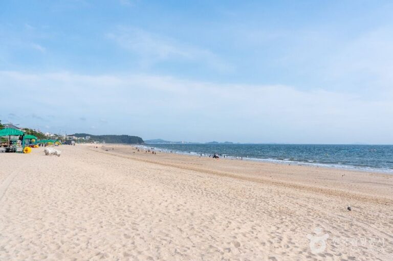 [예스키즈존] 대천해수욕장