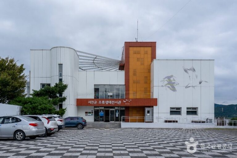 [예스키즈존] 서천군 조류생태전시관