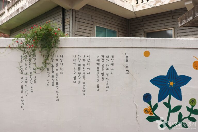 [예스키즈존] 나태주 골목길