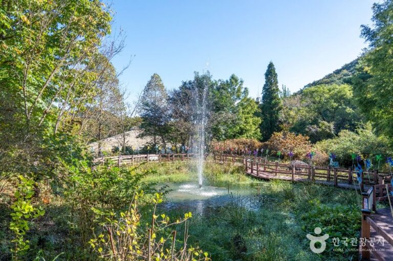 [예스키즈존] 고운식물원