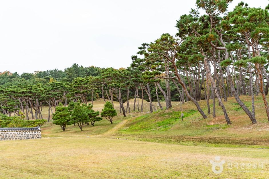 yeskids 1777326522 520 예스키즈존 탐험대 : 실패 없는 육아여행