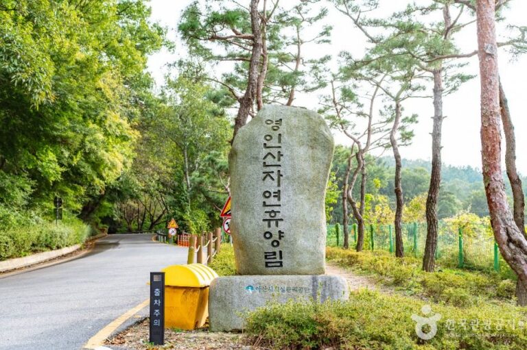 [예스키즈존] 아산 영인산자연휴양림