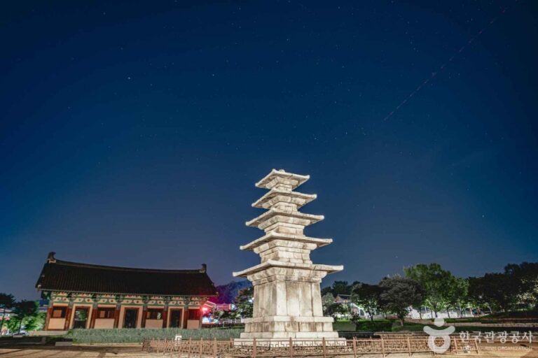 [예스키즈존] 부여 정림사지 오층석탑 [유네스코 세계유산]