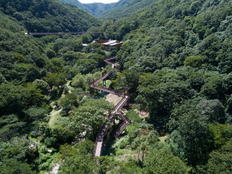 [예스키즈존] 금산산림문화타운