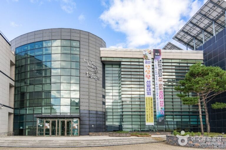 [예스키즈존] 금산인삼관