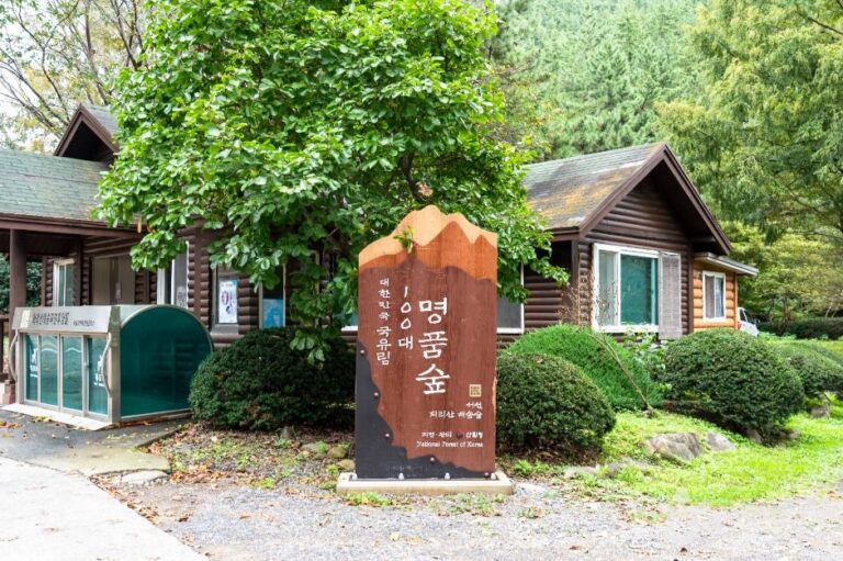[예스키즈존] 국립 희리산해송자연휴양림
