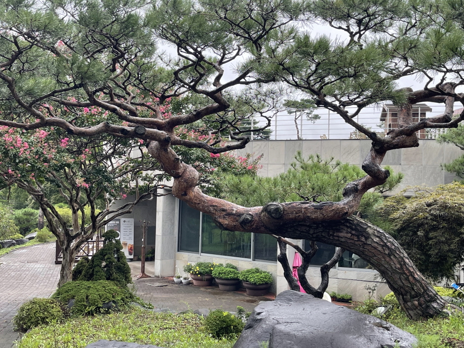 yeskids 1777326818 565 예스키즈존 탐험대 : 실패 없는 육아여행