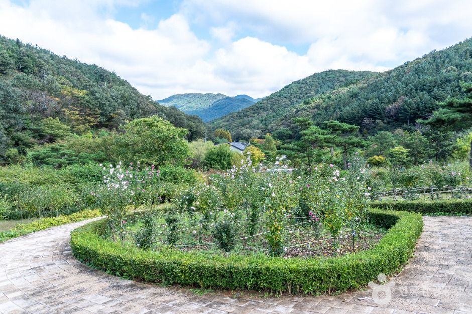 yeskids 1777326912 941 예스키즈존 탐험대 : 실패 없는 육아여행