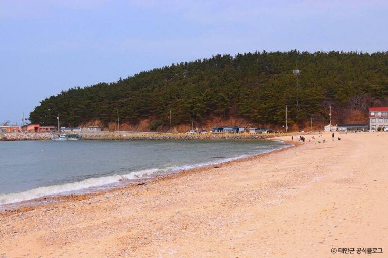 [예스키즈존] 천리포해수욕장