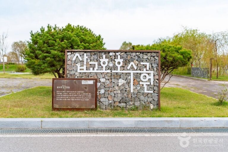 [예스키즈존] 삽교호호수공원