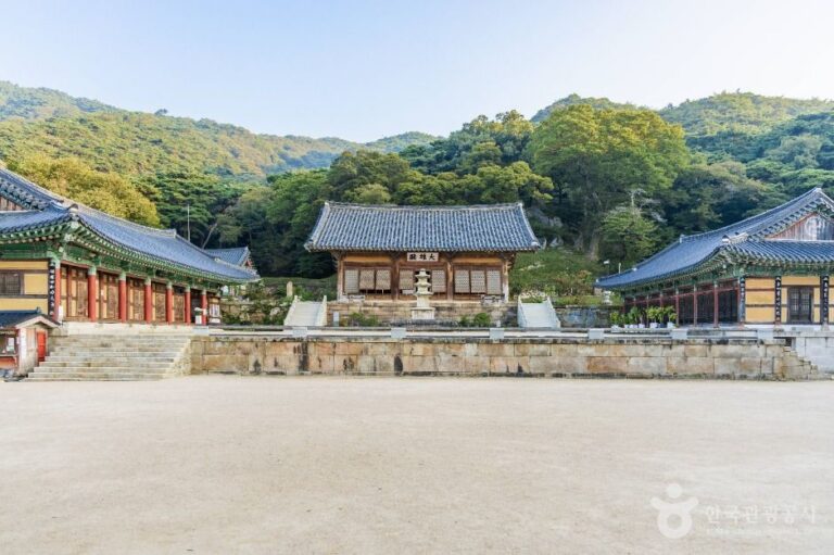 [예스키즈존] 수덕사(예산)