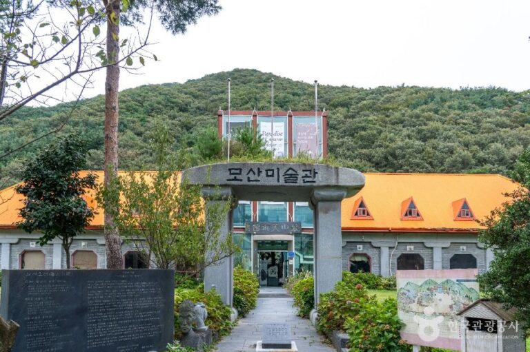 [예스키즈존] 개화예술공원