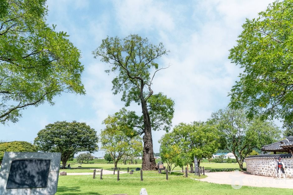 yeskids 1777327411 944 예스키즈존 탐험대 : 실패 없는 육아여행