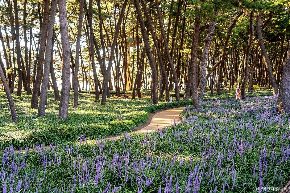 yeskids 1777327481 362 예스키즈존 탐험대 : 실패 없는 육아여행