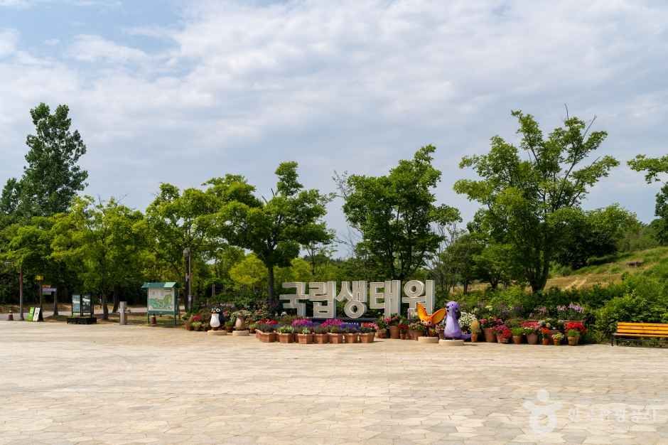 yeskids 1777327595 132 예스키즈존 탐험대 : 실패 없는 육아여행