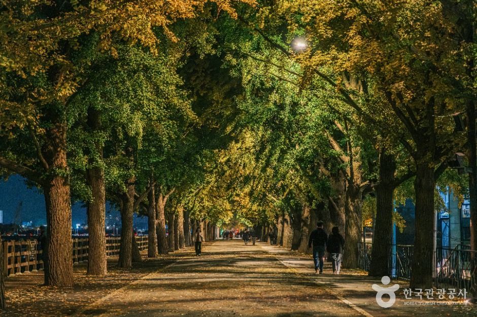 yeskids 1777327615 671 예스키즈존 탐험대 : 실패 없는 육아여행