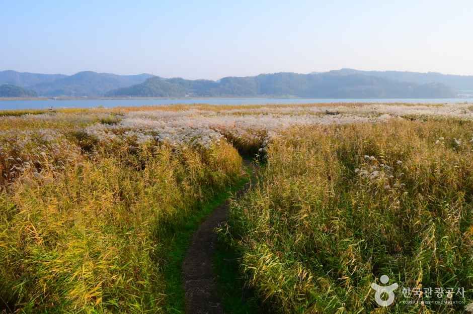 yeskids 1777327654 169 예스키즈존 탐험대 : 실패 없는 육아여행