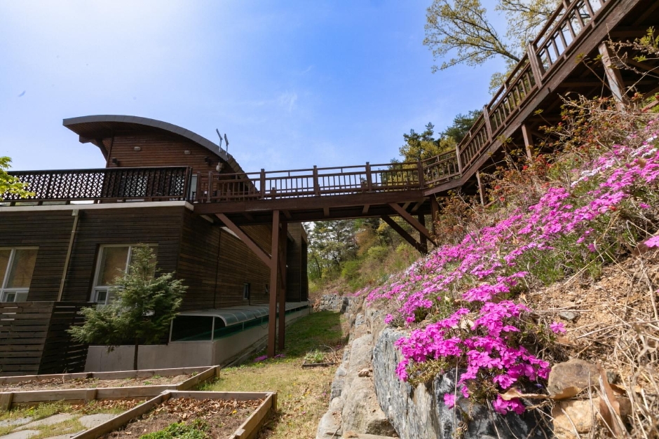 yeskids 1777327741 223 예스키즈존 탐험대 : 실패 없는 육아여행