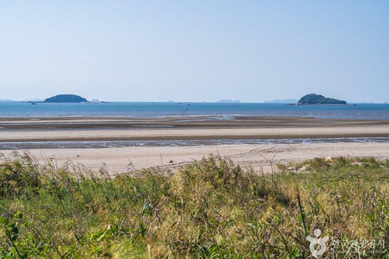 [예스키즈존] 장안해수욕장