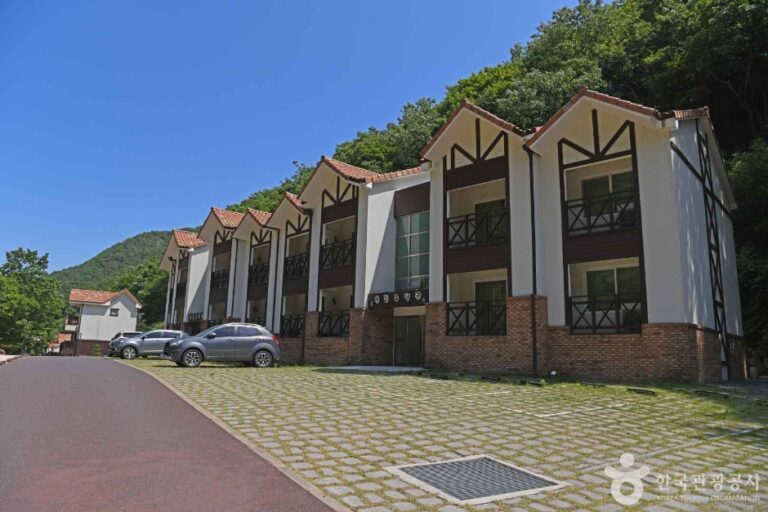[예스키즈존] 느티골산림욕장