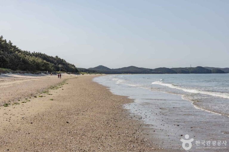 [예스키즈존] 삼봉해수욕장