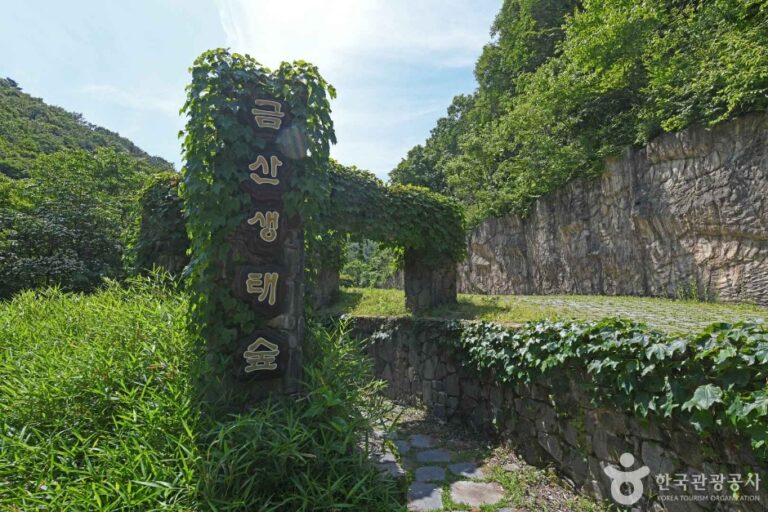 [예스키즈존] 금산생태숲